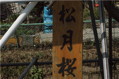 20130430  劘̍_7