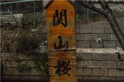 20130430  劘̍_9