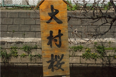 20130430  劘̍_13