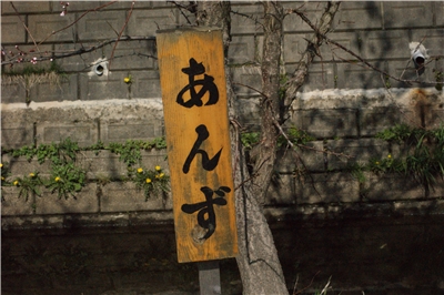 20130430  劘̍_15