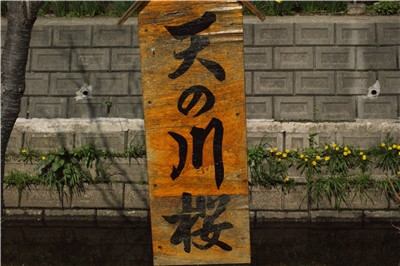 20130430  劘̍_17