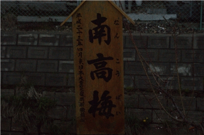 20130430  劘̍_19