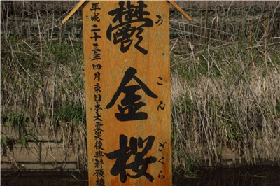 20130430  劘̍_23