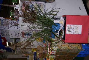 20080913 �����`���O�`���O����~�j�R���T�[�g_1