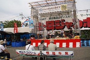 20080913 �����`���O�`���O����~�j�R���T�[�g_3
