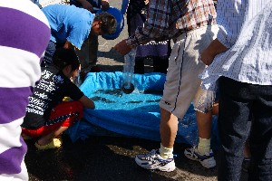 20090823 -����s-�⋛�̒͂ݎ��_37