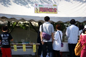 20090823 -����s-�J���I�P���_9