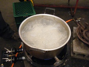 20100319 -�ފ݂��� �f��-_13