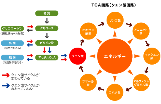 TCAH}