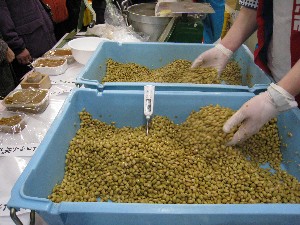 20080315�ĂÂ��薡�X������_9