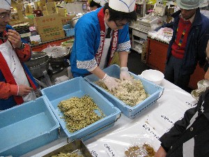 20080315�ĂÂ��薡�X������_14