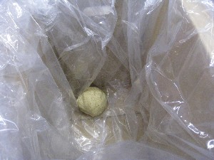 20080315�ĂÂ��薡�X������_19