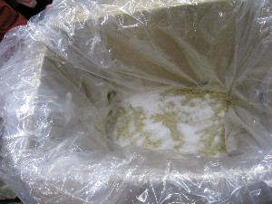 20080315�ĂÂ��薡�X������_25